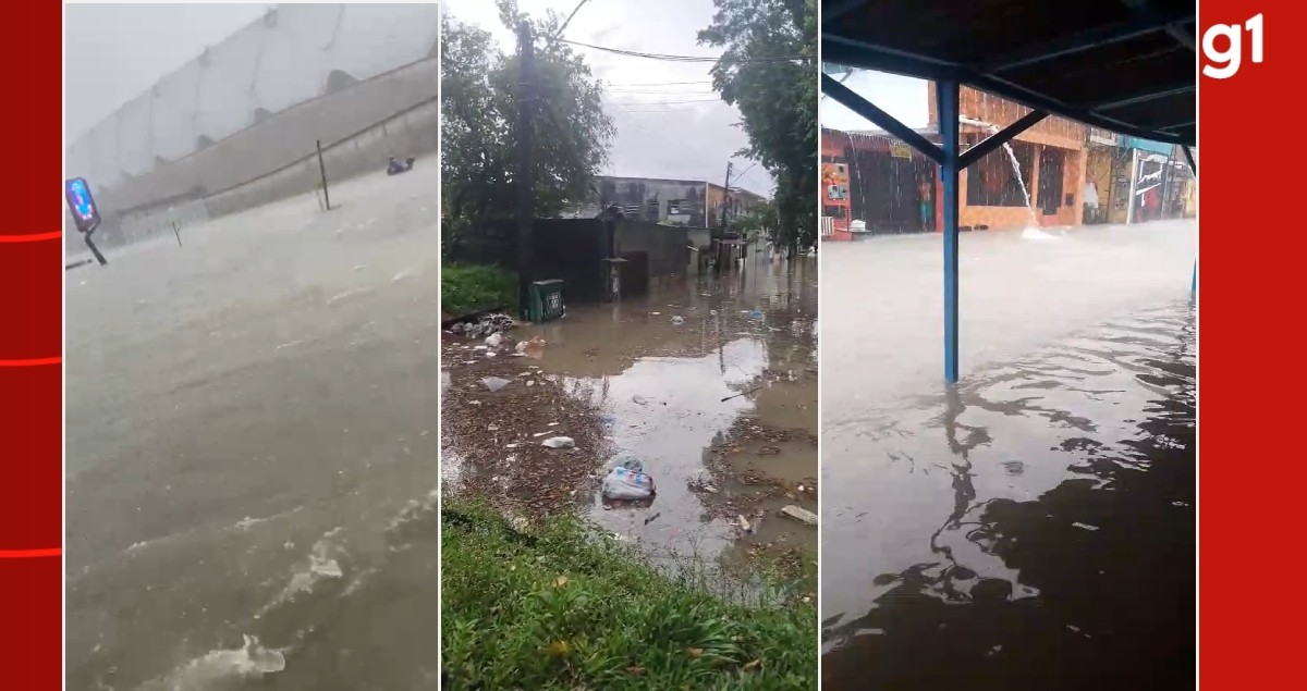 foto Not&iacute;cia Manaus