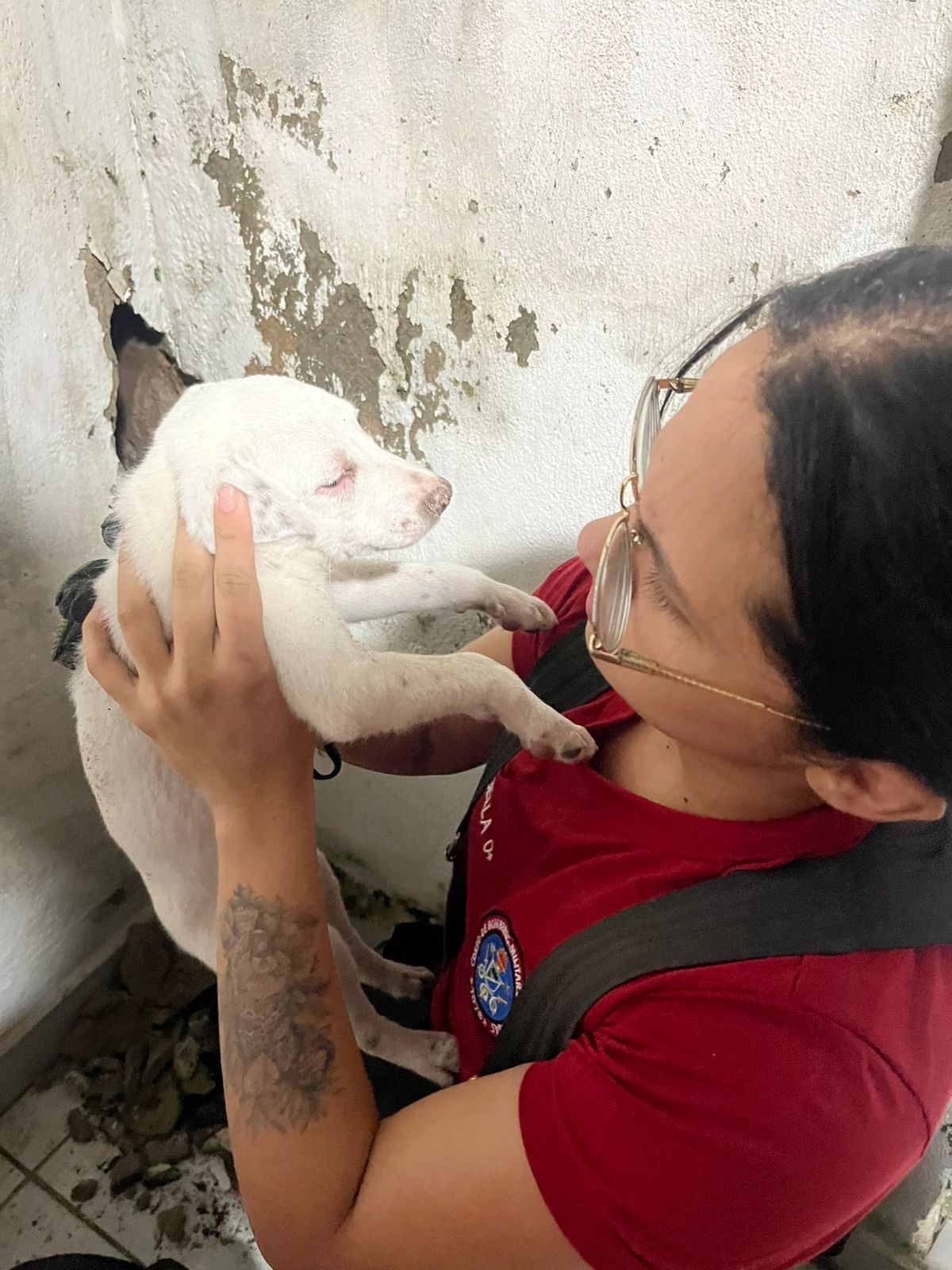 foto Not&iacute;cia Manaus